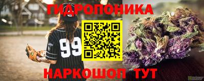 PSILOCYBIN Нягань