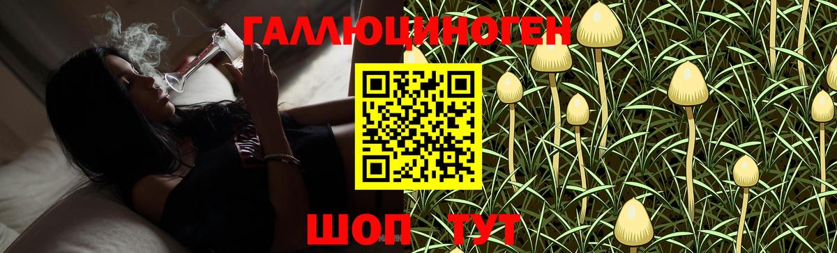 Тулун  Псилоцибиновые грибы Psilocybe  Галлюциногенные грибы MAGIC MUSHROOMS  Вход с VPN 